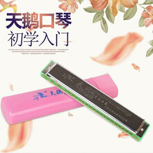 天鹅口琴24孔复音C调初学者学生入门儿童重音口风琴乐器 粉壳复音+琴布+琴盒