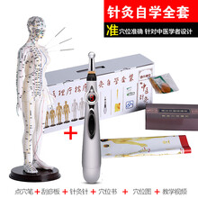 高博士 人体模型穴位针灸模型医学针灸自学教学模型练习扎针 白色女模可扎针软款50cm+找穴笔 针灸款