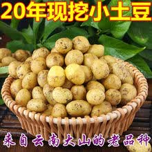 2020云南新鲜黄心小土豆新鲜马铃薯洋芋黄皮黄心5斤批发全国 黄皮黄心迷你小土豆(乒乓球大小) 5斤带箱发货