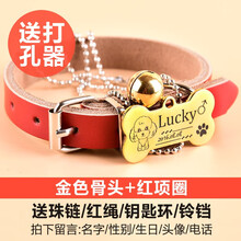 SLPC 狗牌项圈定制小型犬刻字挂牌身份牌猫牌泰迪宠物狗狗铃铛饰品大型犬狗项链 金色骨头+红色皮项圈 XS（适合3-8斤左右宠物）