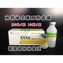 哈药羊三联四防疫苗羊疫苗羊梭菌病多联干粉灭火疫苗多联必应 兽用 1瓶价