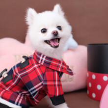 【京东仓直发】InnoPet狗狗衣服四脚冬装猫咪泰迪比熊博美小型犬幼犬法斗小狗宠物秋冬 红格子牛仔四脚衣 XL(10-13斤适用)背长38cm