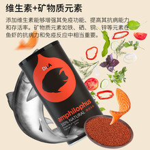 德克血红鹦鹉鱼饲料发财鱼锦鲤鱼食热带观赏鱼鱼粮上浮 600ml