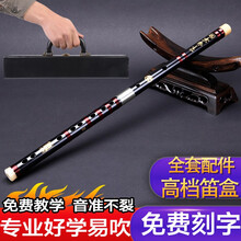 檀韵（TAN YUN） 笛子竹笛乐器初学横笛【乌木笛坏包换】专业级演奏成人学生考级戈建明804 【小降B调】+配件+笛子盒