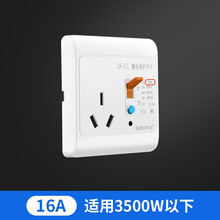 国际电工 热水器空调16a漏电保护器插头大功率32a插座防触电家用带USB开关 16A三孔带漏电保护（50L） 白色