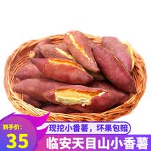 临安天目山小香薯 新鲜板栗薯红薯小番薯地瓜山芋 2.5kg 小果