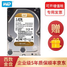 西部数据(WD)企业盘nas硬盘监控台式机1t2t4t/6t/8t/10t/12T/14T金盘 1T WD1005VBYZ  企业盘