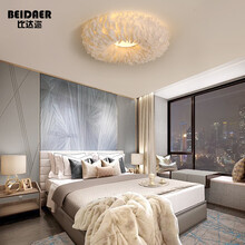 比达迩 羽毛灯北欧ins网红卧室灯具简约创意个性公主儿童房吸顶灯 60CM-【三色光】