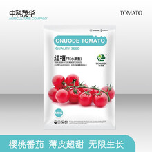 中科茂华蔬菜种子冰糖花生果红禧樱桃番茄种子圣女果酸甜口圆形串收小西红柿阳台盆栽采摘园易种植易管理 红禧樱桃番茄100粒/袋【口感型】