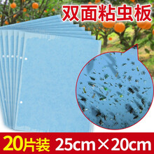 吉越黄板双面粘虫板诱虫板蓝板果蝇纸贴防沾灭黏蓟马小飞虫粉虱蚜虫果园大棚专用 粘虫板25×20cm（蓝色）大20张