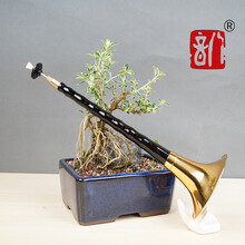 八音唢呐乐器全套唢呐初学者民间喇叭 初学演奏级乌木D调+10大金碗