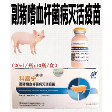 科前 猪副嗜血杆菌 猪副猪嗜血杆菌疫苗 小猪疫苗 兽用兽药一盒价 5盒价