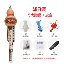 舒弗（LACHOUFFE）防摔葫芦丝乐器初学者C调小d天然成人入门零基础小学生 经典款降B调【送礼包+皮盒】