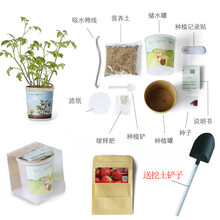 科学观察六一礼物儿童种植小盆栽植物罐头花盆栽幼儿园创意迷你DIY小花农 牵牛花+挖土铲子