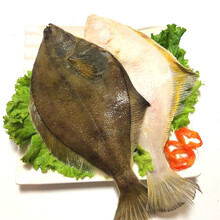 大菜園 鼓眼鱼 鲜活冷冻小鼓眼鱼 高眼鱼 蝶鱼 偏口鱼 豆鼓鱼 1.5kg【3斤】