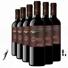 正常发货新品12度法国进口原酒国内罐装红酒臻选750ml干红葡萄酒聚会节日ktv酒吧婚庆送礼 纪念款6瓶+海马刀+倒酒器+酒塞