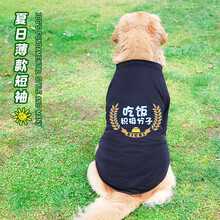 大狗狗衣服夏季薄款金毛萨摩耶拉布拉多夏天背心中型犬大型犬夏装 （夏季薄款短袖）吃饭积极分子 5XL建议40-50斤-胸围78cm-背长58c