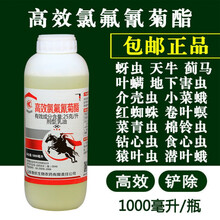 高效氯氰菊酯杀虫剂果树蔬菜农药蚜虫菜青虫红蜘蛛药 500毫升2瓶