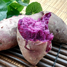 紫薯新鲜10斤蜜甜薯农家板栗香红沙土地瓜糖心蔬菜山芋小番薯