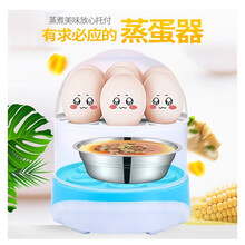 双层蒸蛋器多功能双层蒸蛋器迷你小型煮蛋器自动断电煎锅三合一早餐机咖啡色 双层小巧蒸蛋器(红蓝随机) 煎蒸煮三合一