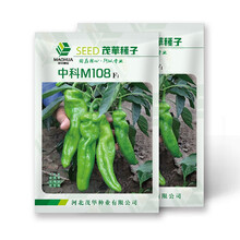 中科茂华蔬菜种子中科M108薄皮辣椒种子陇椒类型微辣鲜食凉拌配菜花盆种植100粒