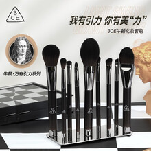 3CE 牛顿化妆刷套刷韩国特种细纤维毛散粉刷腮红刷轮廓刷粉底刷晕染眼影刷眉刷粉底刷口红刷化妆彩妆 牛顿 9件套配蒸汽包