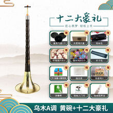 宏艺凤鸣唢呐乐器全套乌木黑檀木专业演奏考级初学者入门喇叭 乌木A调唢呐黄碗+12大豪礼