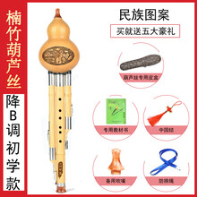 葫芦丝乐器初学者c调降b调儿童小学生入门演奏成人男女自学 楠竹初学款降B调(民族图案)全套