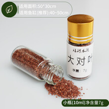 琅河水族 水草种子大对叶小牛毛草缸懒人造景草坪鱼缸 大对叶/7g/瓶