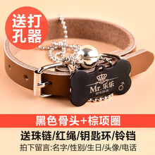 SLPC 狗牌项圈定制小型犬刻字挂牌身份牌猫牌泰迪宠物狗狗铃铛饰品大型犬狗项链 黑色骨头+棕色皮项圈 XS（适合3-8斤左右宠物）