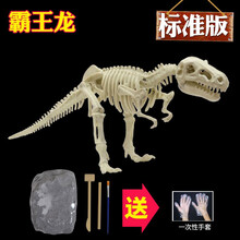 小鼠乐乐  儿童恐龙化石考古挖掘玩具diy手工制作拼装霸王龙骨架模型男孩益智玩具 标准1号霸王龙