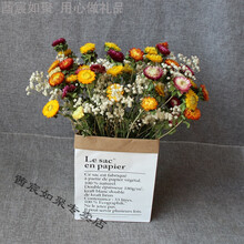 莤宸如聚 干花 真花 云南 麦杆菊 七彩菊 小菊花 家居装饰  干花束 满天星 40朵彩色菊+满天星，不带纸袋 干树枝
