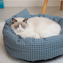 波奇网怡亲 猫窝狗窝 网红北欧ins风宠物猫狗窝/幼猫咪床睡垫子/小型大型成犬/泰迪柯基金毛用品 蓝色7.5kg以内（50*40*13cm）