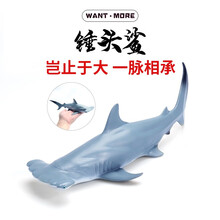 玩模乐仿真海洋动物鲨鱼模型玩具大号空心锤头鲨海底生物认知玩具 锤头鲨