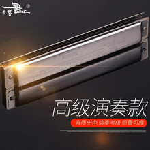 天鹅24孔复音口琴演奏加厚款A/B/C/D/E/F/G/A#/C#/D#/F#/G#12调全套乐器 E调