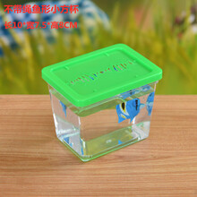 新款斗鱼杯斗鱼方盒方杯小鱼塑料透明小型鱼缸昆虫盒宠物盒乌龟缸 不带绳鱼形小方杯