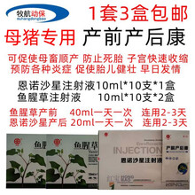 兽药兽用鱼腥草注射液母猪产前产后康促顺产防死胎防产后感染