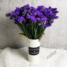 云南天然风勿忘我干花花束装饰摆件真花家庭插花论斤卖满天星 紫勿 2斤 干树枝