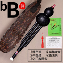 葫芦丝演奏型云南乐器树脂防摔成人小学生初学者c调降b 降b+防摔硬盒+入门资料