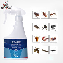 康宇杀虫灭蚊喷雾剂家用室内灭苍蝇跳蚤虱子蜘蛛药床上除螨虫臭虫驱虫用品