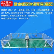 仔猪保育床小猪保育床 猪用保育床保育栏母猪产床定位栏养殖设备 中泰农牧 热镀2.2复合板双体高配