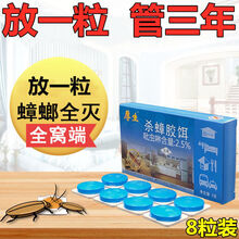 蟑螂药一窝端大小克星贴厨房室内强力和家用蟑螂屋 一袋装【体验装】活动款无赠送