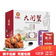 【活蟹】宅鲜配 好蟹汇大闸蟹现货礼盒鲜活大闸蟹 558型公3.0两 母2.0两4对