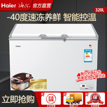 海尔冰柜零下40度超大冷柜-40°-38°冷藏冷冻转换柜家用商用大冰柜卧式冰箱冷柜大容量电冰柜雪柜 320升