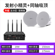先科（SAST）无线蓝牙吸顶音响壁挂壁喇叭家用天花吊顶套装嵌入式室内店铺餐厅吊球背景音乐家用音箱分区 发射器+同轴高低音吸顶 音响数量（3）
