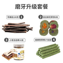 宠尚天 仓鼠磨牙棒兔子龙猫荷兰猪金丝熊磨牙石苹果树枝零食用品套装齐全 磨牙升级套餐