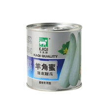 花友秀 香瓜种子 蔬菜种子 八里香 羊角酥雪蜜王 伊丽莎白香瓜 哈密瓜  香瓜阳台种菜 家庭园艺 羊角蜜薄皮甜瓜种子罐装20克