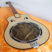 秦琴红花梨指板 蟒蛇皮腰形秦琴乐器 民族乐器三弦琴 中级腰形中部皮+教程+琴包