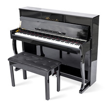 博仕德 电钢琴88键重锤智能数码电子钢琴家用专业成人初学者自学幼师立式电钢 【专业演奏真钢级】重锤键-烤漆黑(双人凳+大礼包)