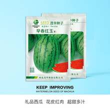 中科茂华瓜果种子早春红玉茂华小红玉中科金品红玉礼品西瓜种子小果型西瓜種子花皮红瓤单瓜3-4斤超甜高糖 早春红玉300粒/袋【椭圆3-4斤】